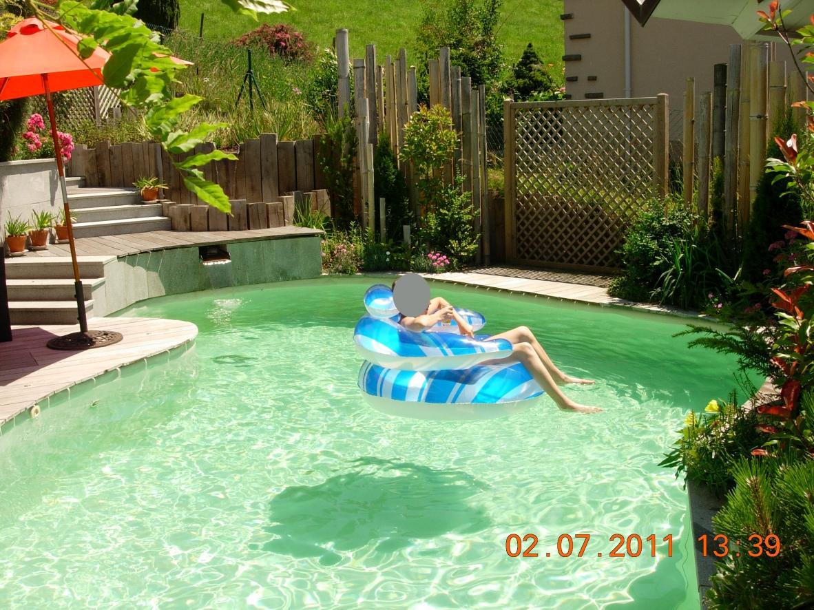 piscine biologique piscine biologique