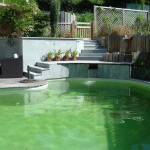 Jardin aménagé d'une piscine naturelle à Annemasse