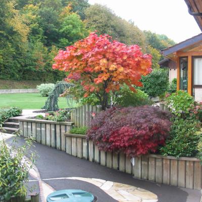 Plantation massifs arbustifs Thonon