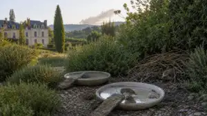 Living soil and natural garden care in a refined estate garden