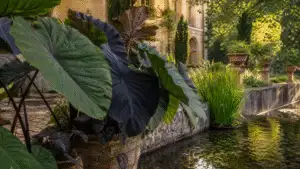 Natural water garden with pond planting in an elegant estate garden
