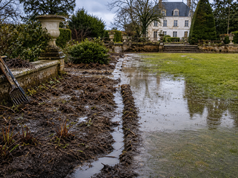 Illustration de jardin de caractere pour Remettre un jardin en état après une inondation : nettoyer, drainer, replanter