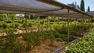 Living soil and natural garden care in a refined estate garden