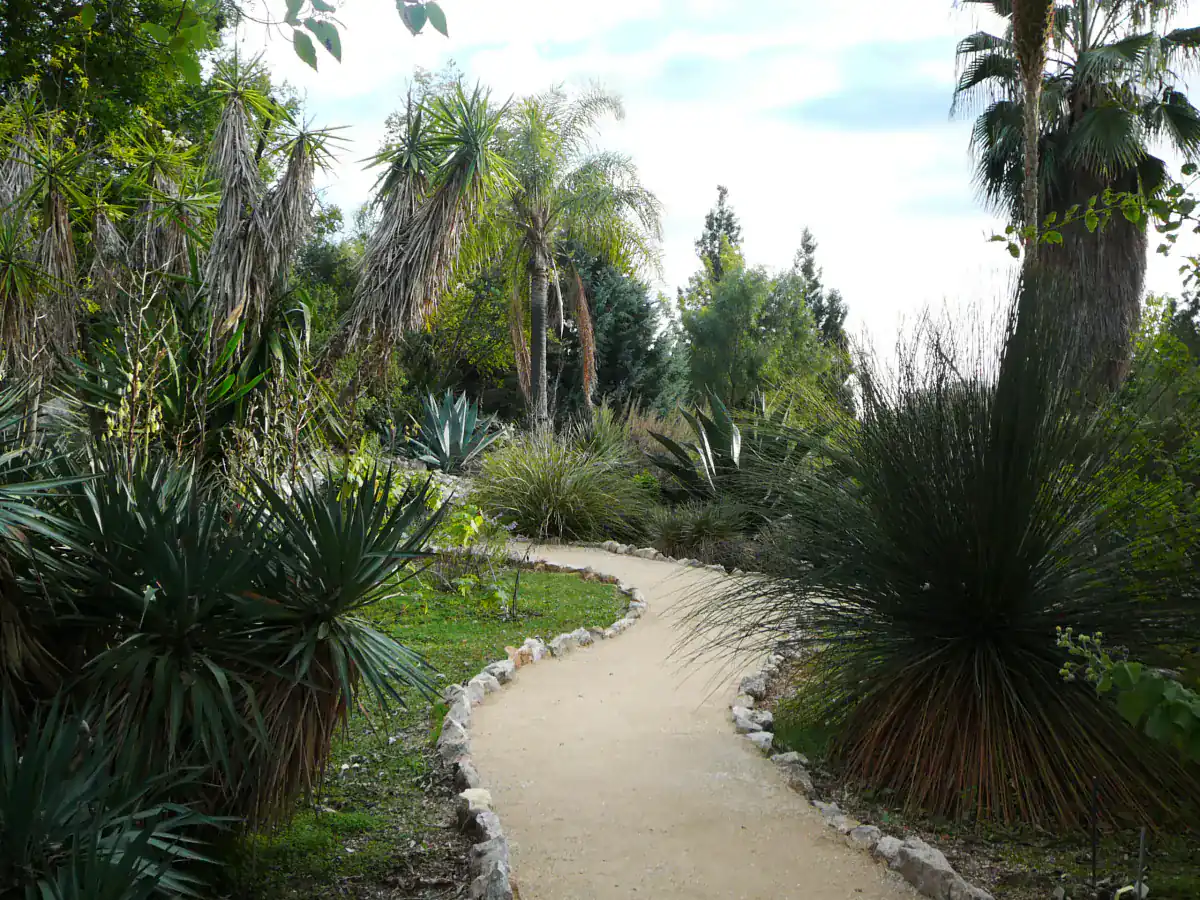 Plantations et cheminement du Jardin botanique de Nice