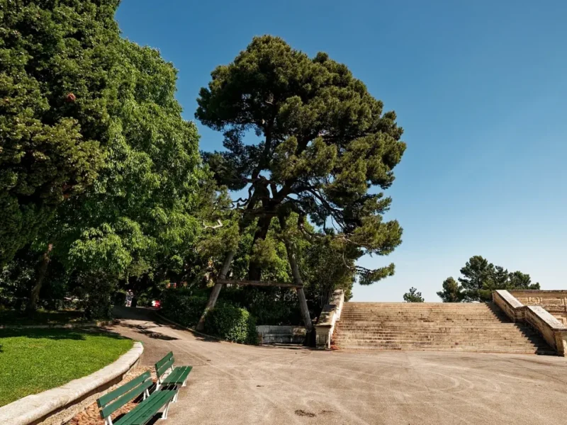 Parc arboré du Rocher des Doms à Avignon, avec bancs, escaliers et grand pin