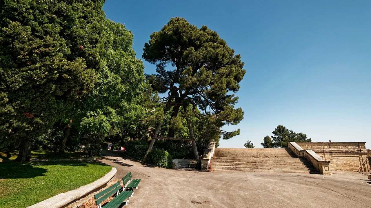 Parcul înverzit Rocher des Doms din Avignon, cu bănci, trepte și un pin matur