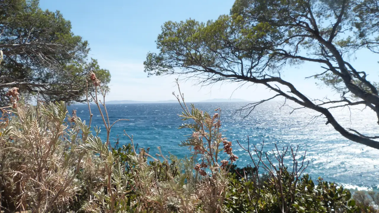 Mediterrane Küstenvegetation mit Blick zum Meer im Domaine du Rayol