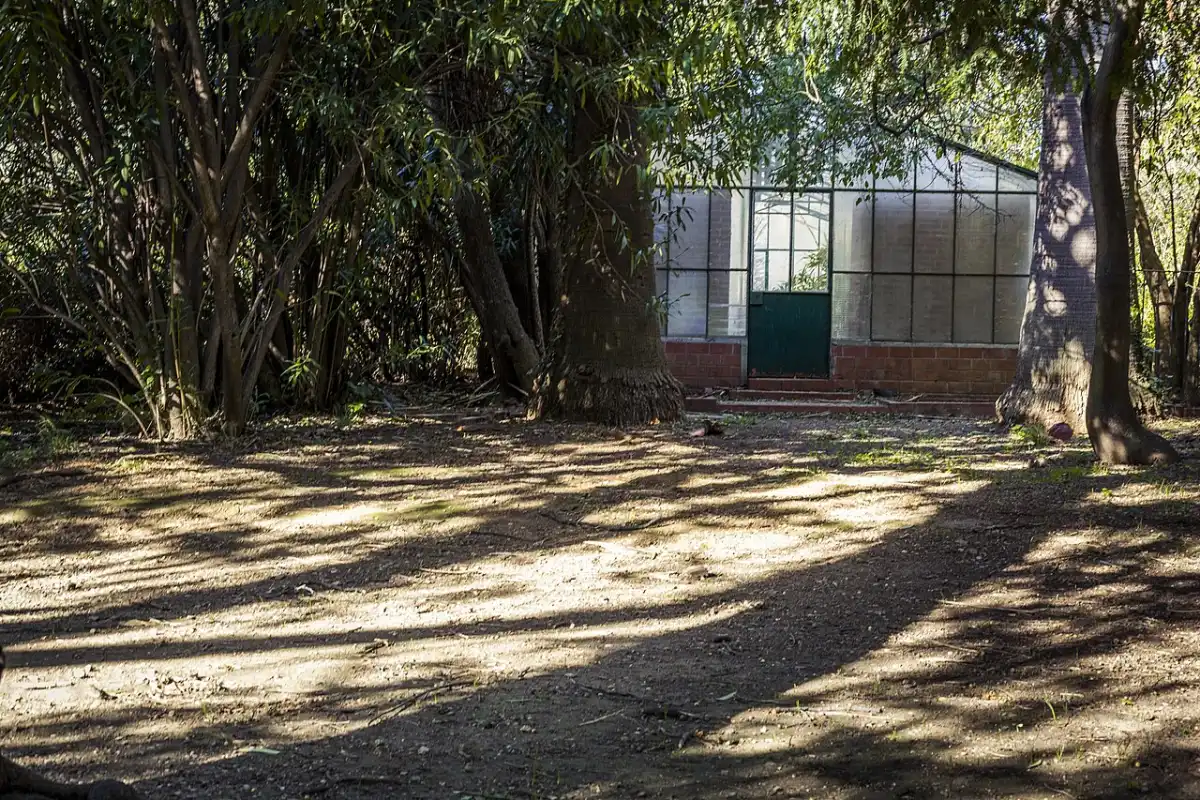 Gewächshaus im Jardin du Las unter altem Baumbestand