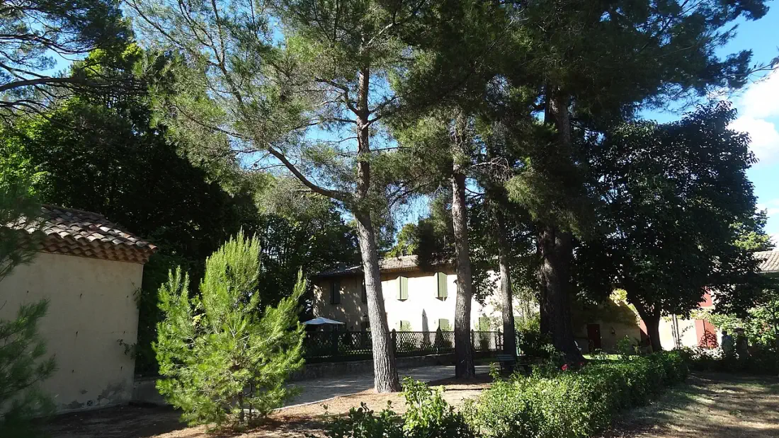 Buildings of the Bastide de Romégas beneath pines and evergreen trees