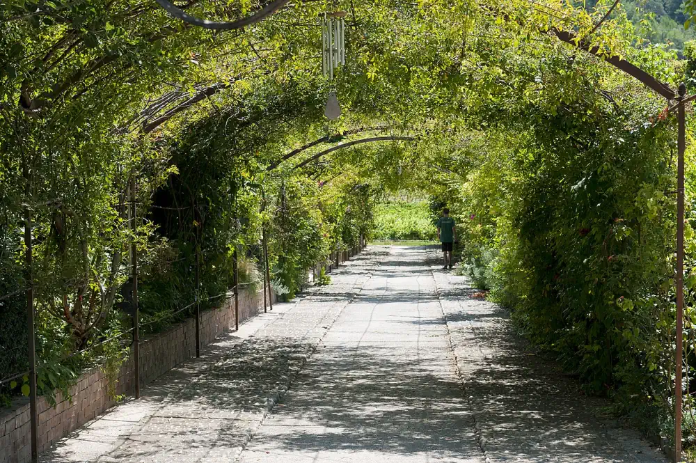 A planted walk beneath metal arches in the gardens of Château Val Joanis