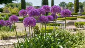 The Plant Encyclopedia