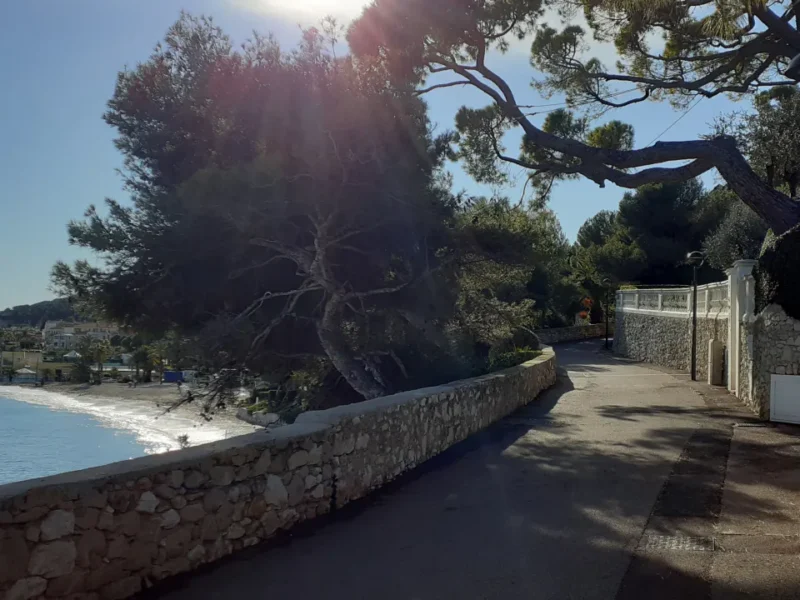 Promenade Maurice-Rouvier bordée de végétation entre Beaulieu-sur-Mer et Saint-Jean-Cap-Ferrat