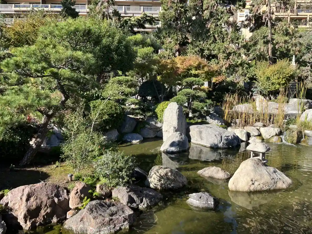 Pond, rocks, clipped planting and a stone lantern in Monaco’s Japanese Garden