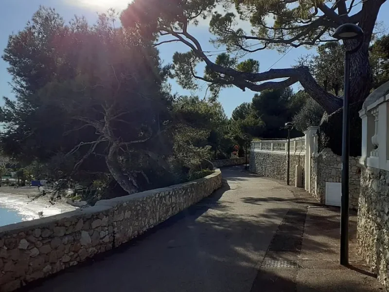 Pini și zid de piatră de-a lungul promenadei Maurice-Rouvier, cu vedere spre mare.