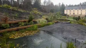Natural water garden with pond planting in an elegant estate garden