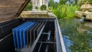 Natural water garden with pond planting in an elegant estate garden
